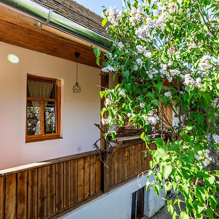 Minifaktura Loft * Szokolya