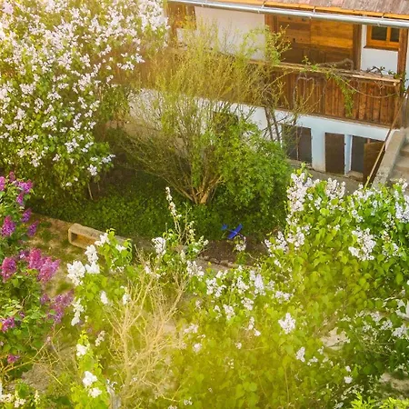 Διαμέρισμα Minifaktura Loft & Reggelizo Es Etelbar *