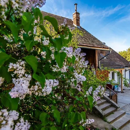 Minifaktura Loft & Reggelizo Es Etelbar * Szokolya