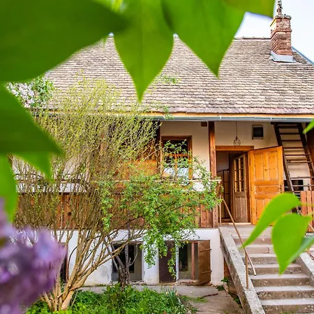 Διαμέρισμα Minifaktura Loft & Reggelizo Es Etelbar Szokolya