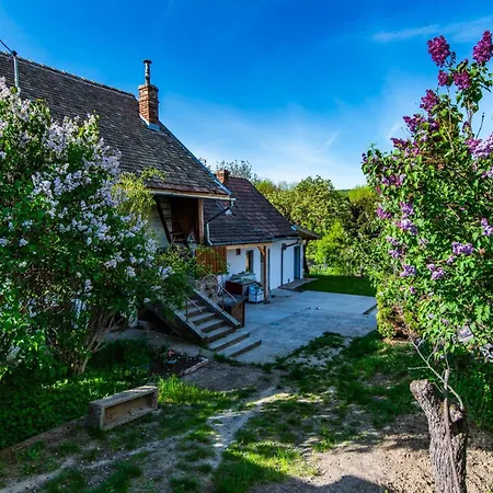 Διαμέρισμα Minifaktura Loft & Reggelizo Es Etelbar