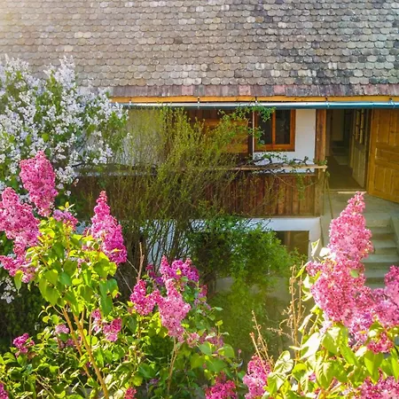 Minifaktura Loft & Reggelizo Es Etelbar Szokolya