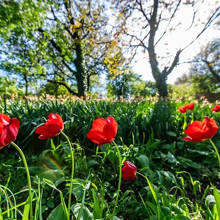 Minifaktura Loft & Reggelizo Es Etelbar Szokolya