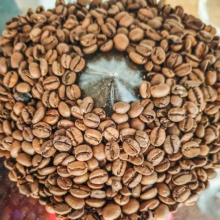 Διαμέρισμα Minifaktura Loft & Reggelizo Es Etelbar